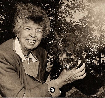 Photograph or image of Fala: Eleanor Roosevelt with Fala