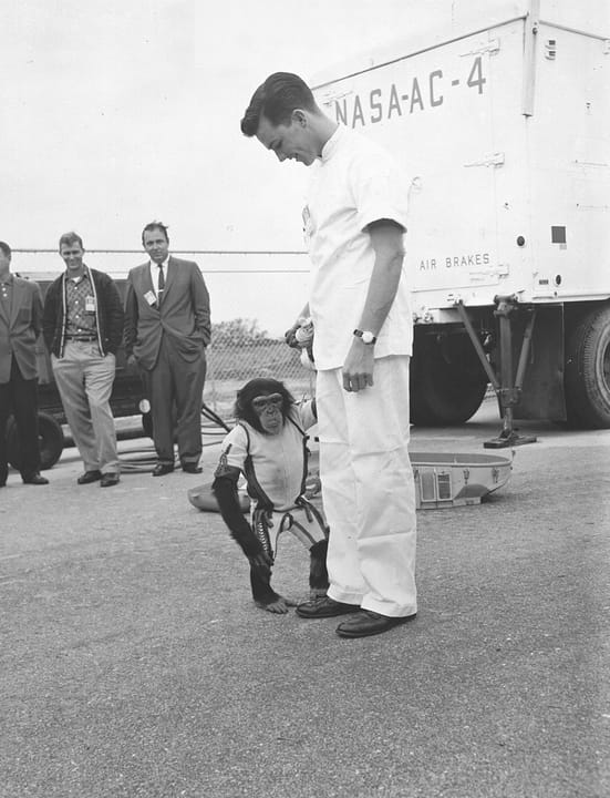 Photograph or image of Ham: Ham, the first chimpanzee ever to ride into space is shown off by his animal trainer at Cape Canaveral, Florida.