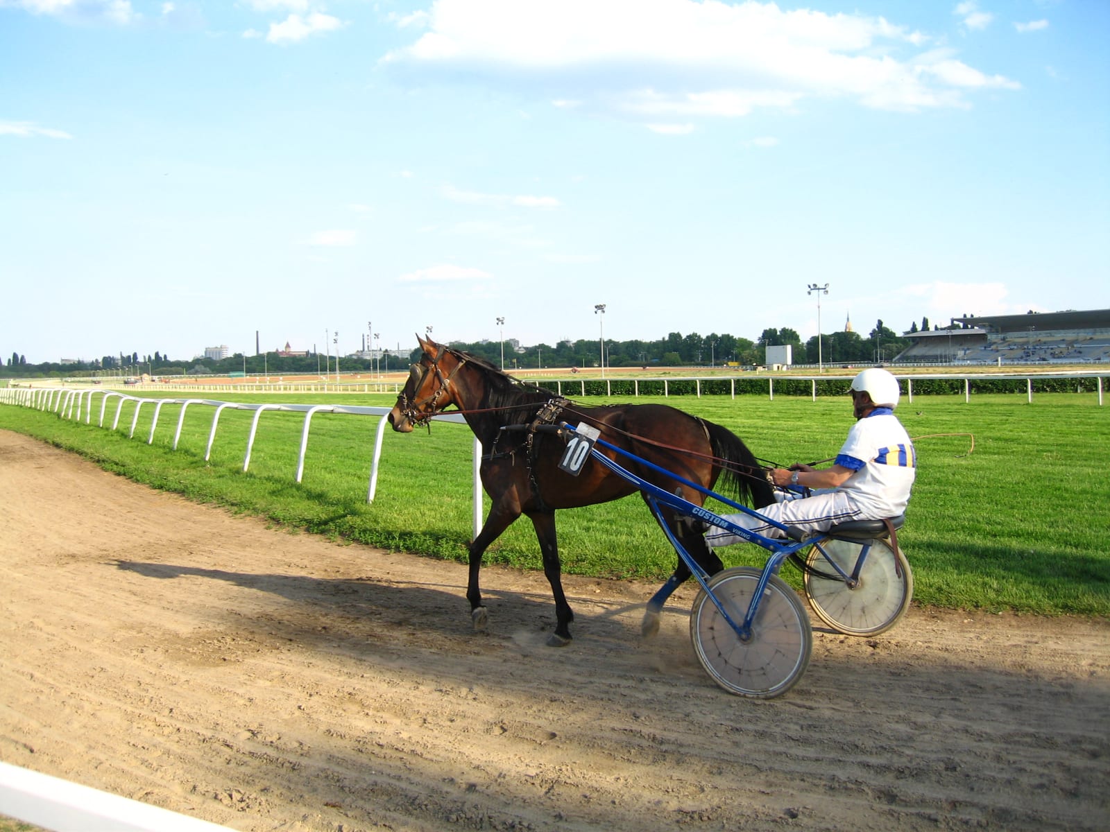 Photograph or image of Kincsem: en:Kincsem Park harness racer Magyar: hu:Kincsem park , ügetőverseny résztvevője