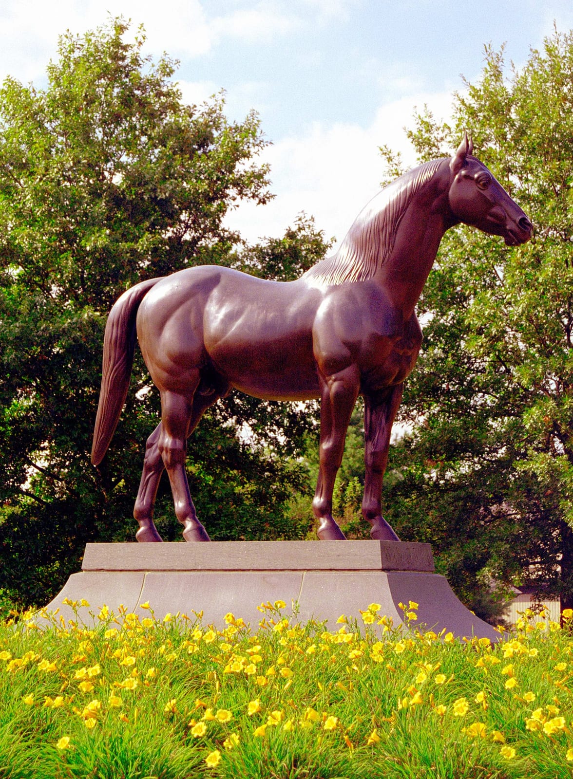 Photograph or image of Man o' War: Kentucky Horse Park "Man 'O' War"