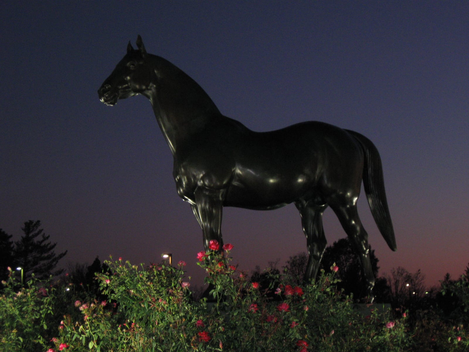 Photograph or image of Man o' War: Man o' War statue at Kentucky Horse Park, Lexington, Kentucky