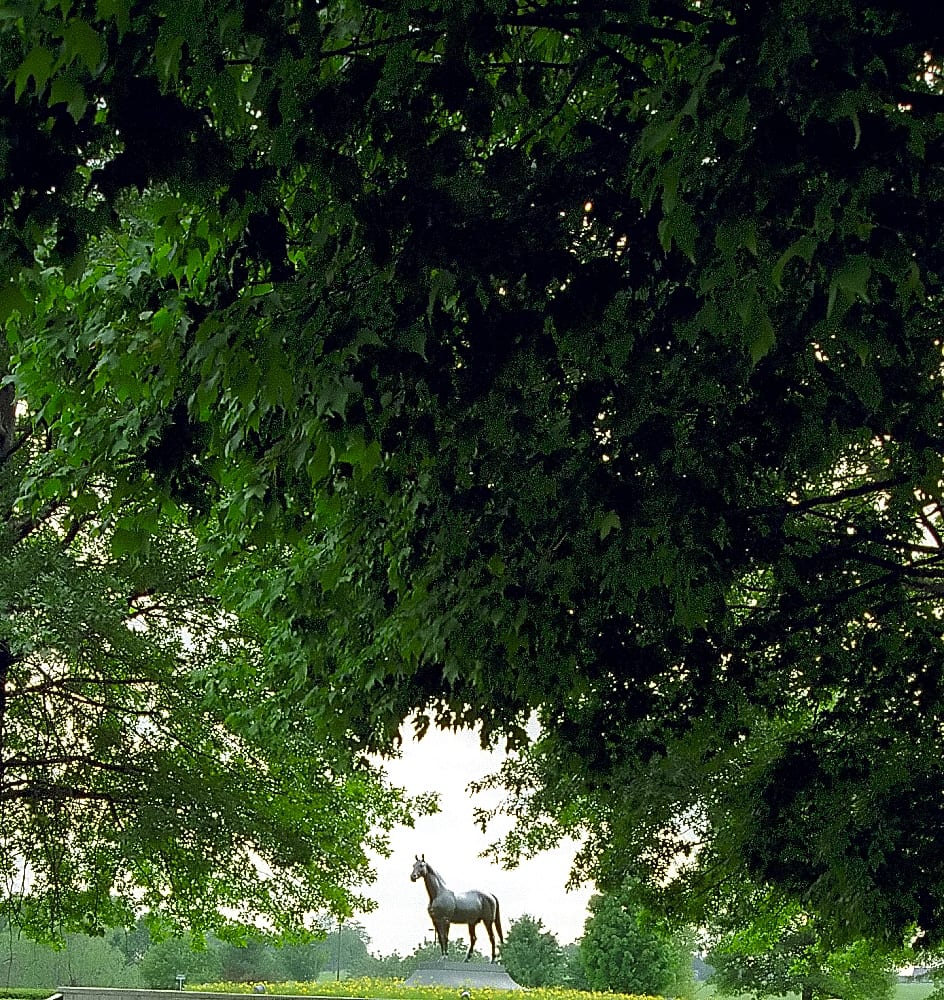 Photograph or image of Man o' War: Lexington Kentucky - Kentucky Horse Park "Man 'O' War"