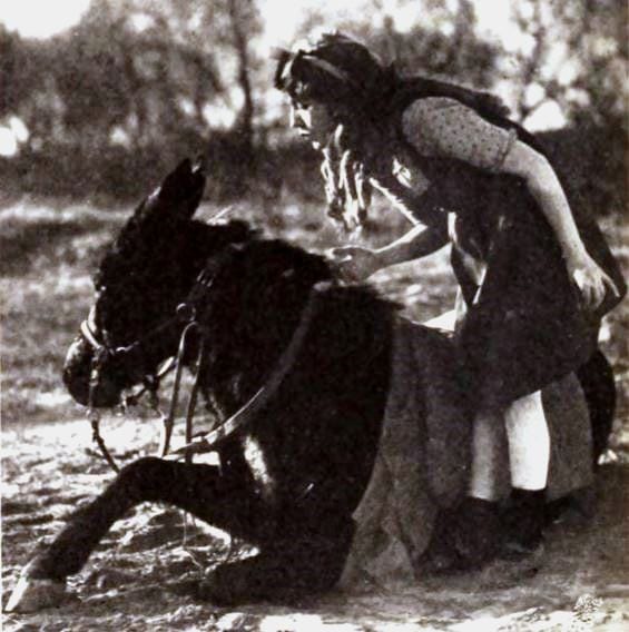 Photograph or image of Maud: Still from the American film Through the Back Door (1921) with Mary Pickford and the mule Maud, on page 98 of the February 26, 1921