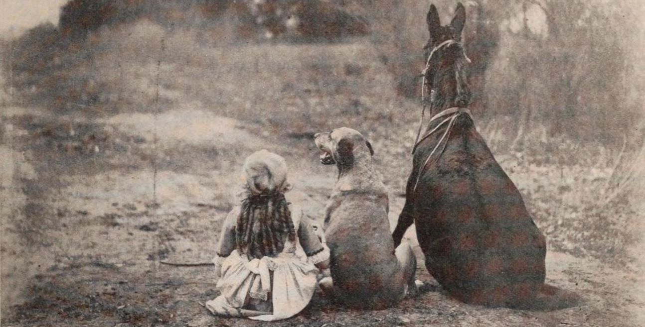 Photograph or image of Maud: Still from the American film Through the Back Door (1921) with Mary Pickford and the mule Maud, on page 67 of the April 2, 1921 Exh