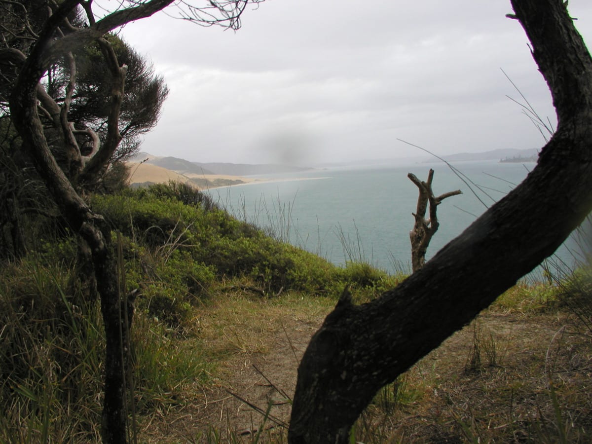 Photograph or image of Opo: Another sea side view near Oponui (spelling? the place where Opo the dolphin visitied). It was rianny and I was taking shelter in th