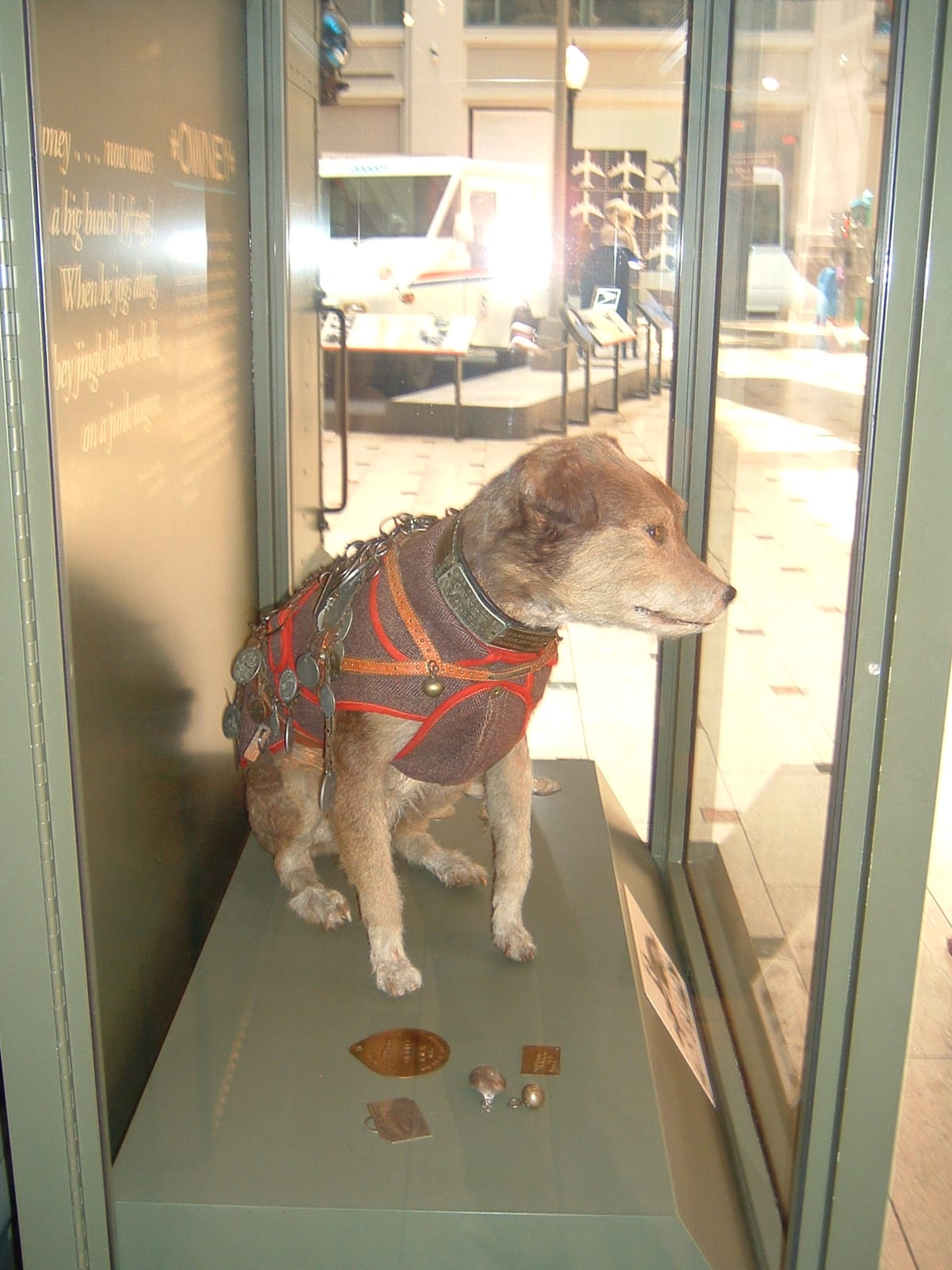 Owney