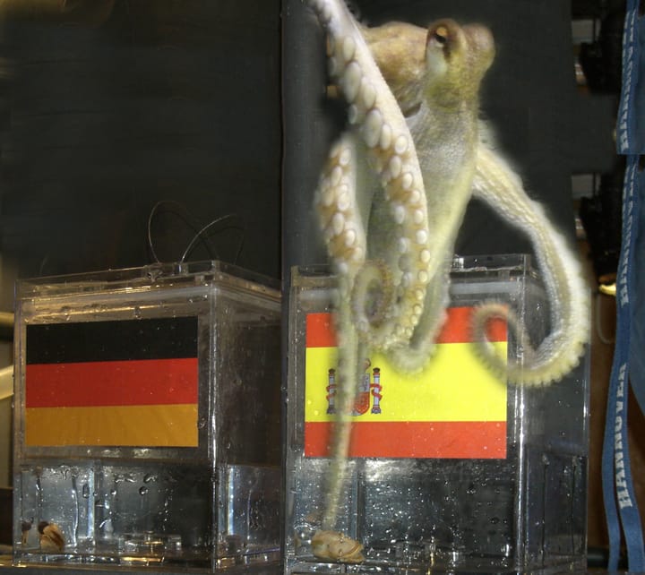 Photograph or image of Paul the Octopus: Oktopus-Orakel Paul.