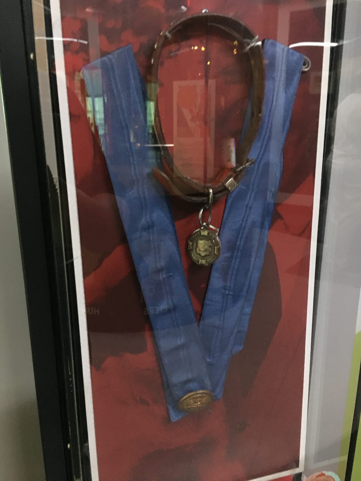 Photograph or image of Pickles: Pickles the Dog display