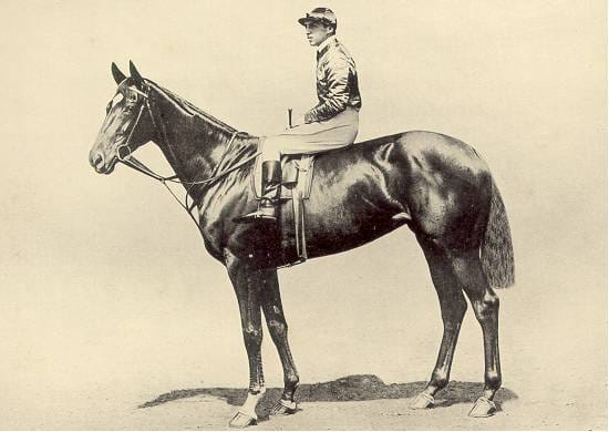 Photograph or image of Pretty Polly: Pretty Polly (1901-17 August 1931), was an outstanding English Thoroughbred racemare.