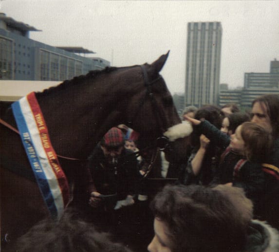 Photograph or image of Red Rum: Winner of the Grand National in 1973, 1974 and 1977, the UK's best known and most loved racehorse is pictured with fans on a vis