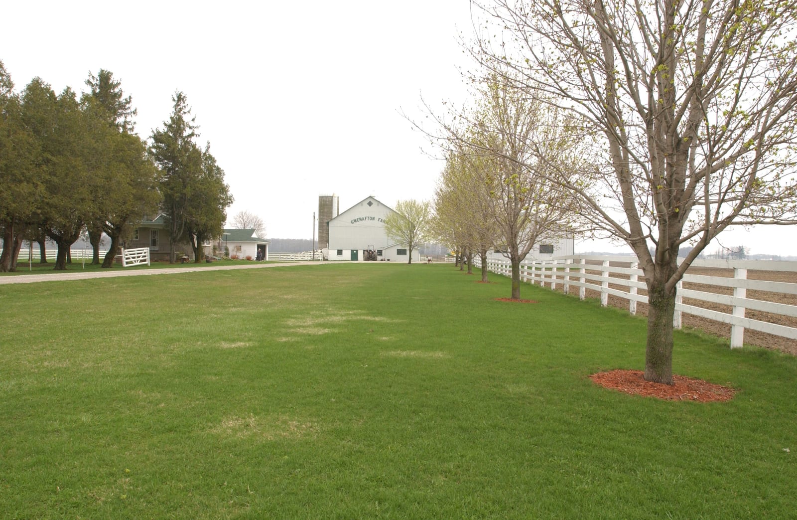 Photograph or image of Secretariat: St. Mary's, ON Disclaimer: By downloading this image I agree to give credit in legible (minimum 8pt) text adjacent to the im