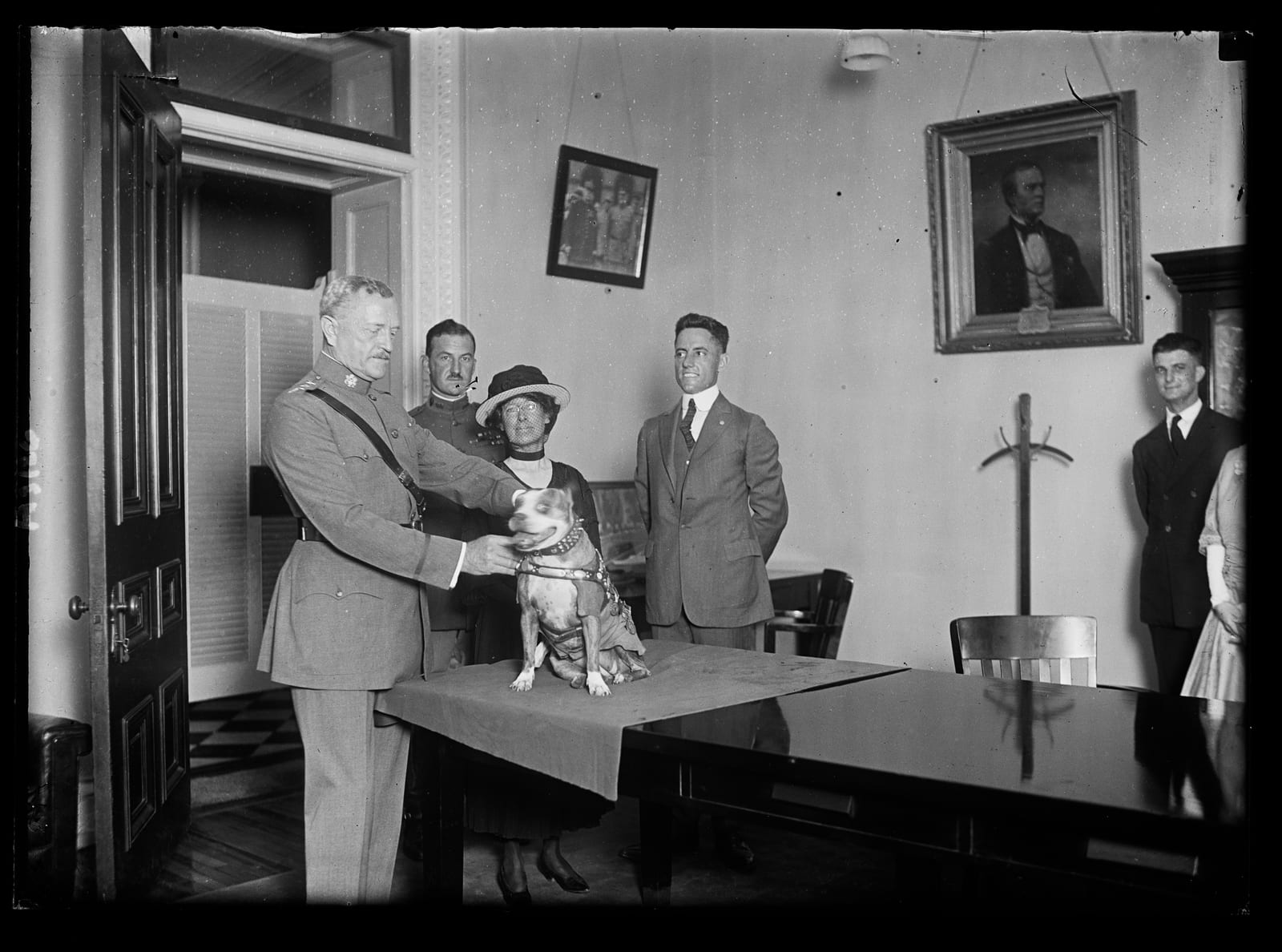 Photograph or image of Sergeant Stubby: General John J. Pershing awards Sergeant Stubby with a medal in 1921 as Robert Conroy, wearing suit, stands behind them