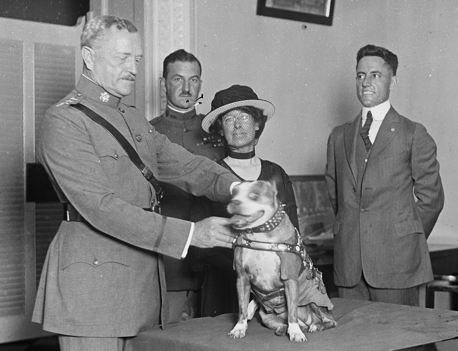 Photograph or image of Sergeant Stubby: General John J. Pershing awards Sergeant Stubby with a medal in 1921 as Robert Conroy, wearing suit, stands behind them