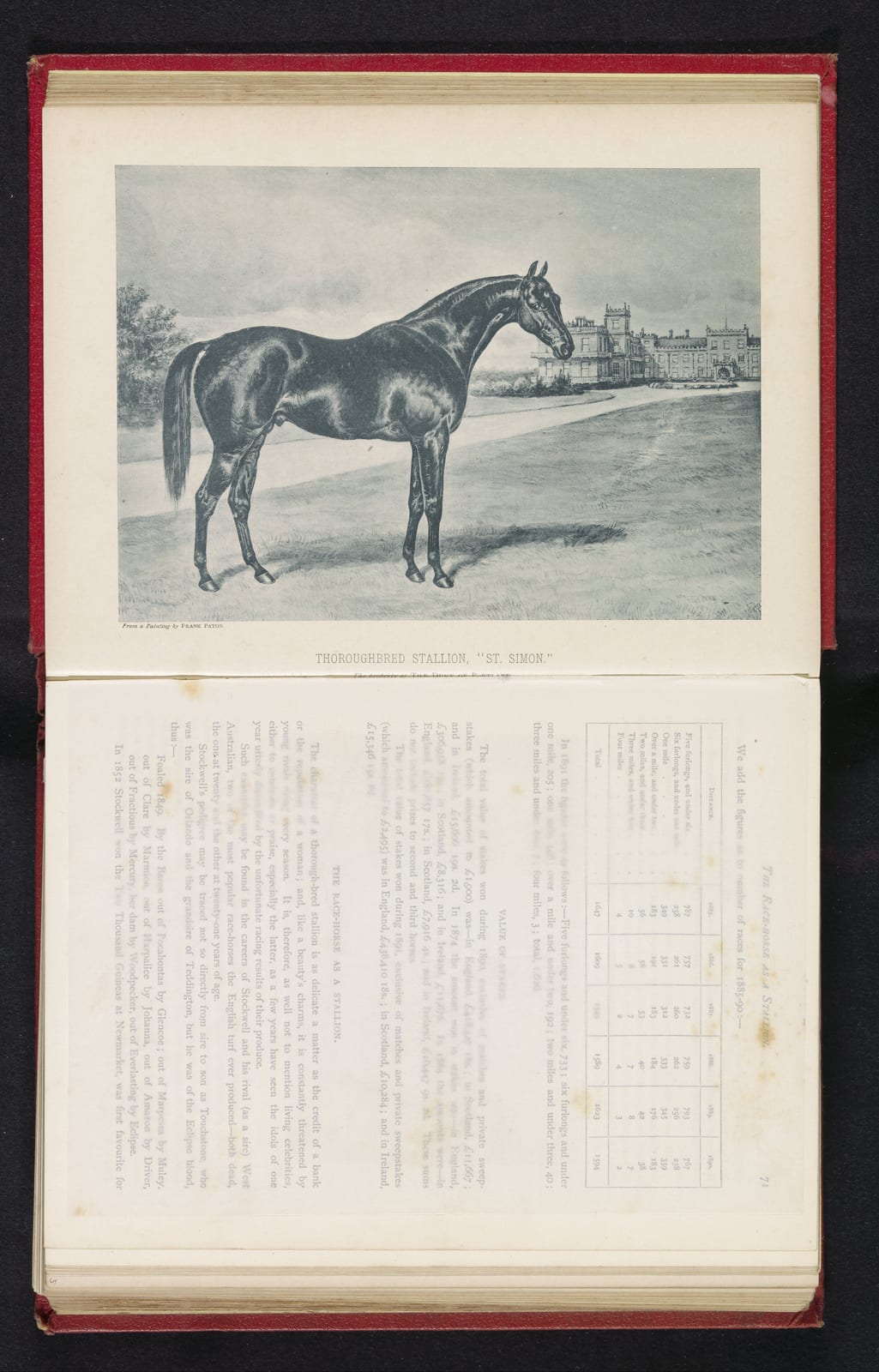 Photograph or image of St Simon: Identificatie Titel(s): Fotoreproductie van een schilderij van een paard door Frank Paton. Thoroughbred Stallion, “St. Simon” (