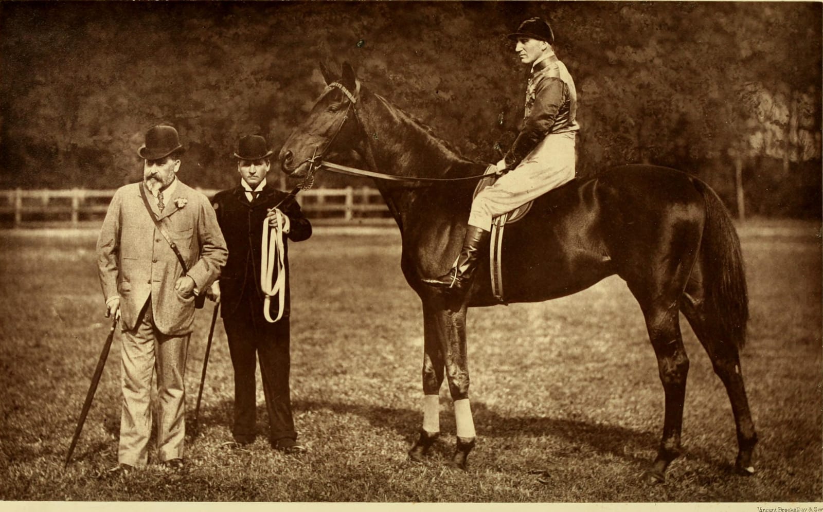 Photograph or image of St Simon: Identifier : horsebreedershan00osbo ( find matches ) Title : Horse-breeder's handbook : together with a history of the rise and