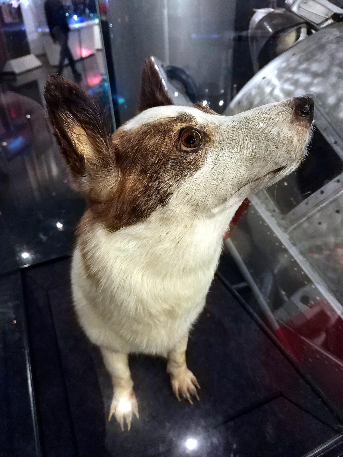 Strelka