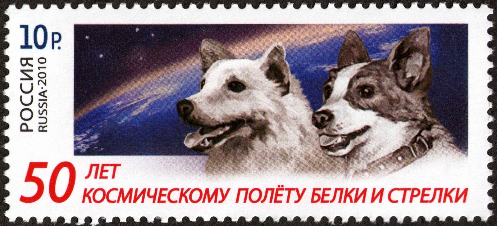 Photograph or image of Strelka: 50th anniversary of the space flight of Belka and Strelka . The stamp of Russia, 12 Rubles, 29 October 2010, PTC Marka Catalogue