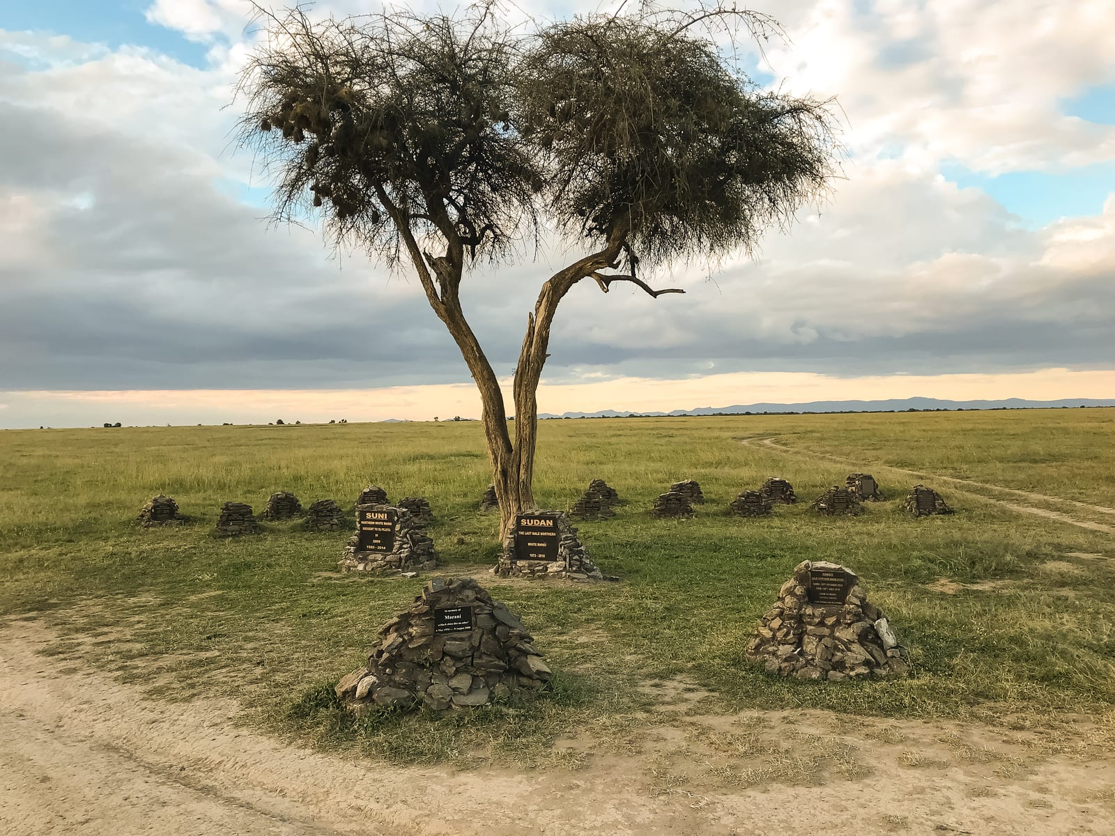Photograph or image of Sudan: The Memorial honours the lives of all the Ol Pejeta rhinos that have been killed in the poaching epidemic. A total of sixteen grav