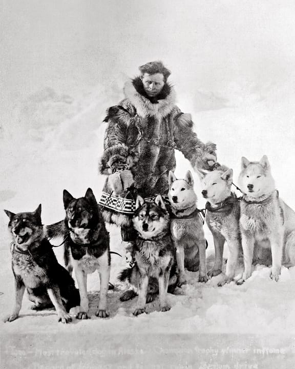 Photograph or image of Togo: Musher Leonhard Seppala posing with six of his sled dogs, circa 1924-1925. Dog's names from left to right - Togo, Karinsky, Jafet,