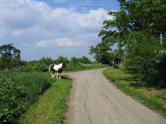 Photograph or image of Traveller: Moorend Lane with traveller's horse and caravan. Moorend Lane. The Penny Lane turning is visible behind the horse.